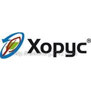 ХОРУС фото