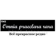 Трафарет для тату размер 16*4см(П45) фото