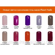 Гель-лак новые цвета из коллекции Planet Nails (в ассортименте) фото