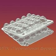 Продам упаковку для перепелиных яиц. фото