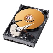 Диск жесткий WD IDE 160Gb фото