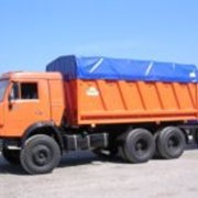Автополога фото