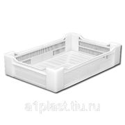 Пластиковый ящик ягодный для заморозки фото