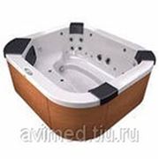 SPA бассейн Jacuzzi Delos фото