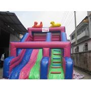 CLI-335 фото