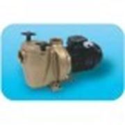 Насос бронзовый 1.1kw 220V Pahlen P01 120215 фото