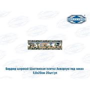Бордюр широкий Шахтинский Аквариум 5,8х20см фото