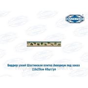 Бордюр узкий Шахтинский Аквариум 2,8х20см фото