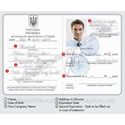 Work permit , registration in Ukraine фото