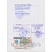 Легализация для Бразилии фото