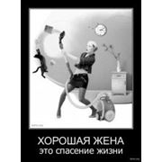 Все виды клининговых услуг. фото