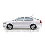 Прокат Skoda Octavia 1,4 автомат DSG коробка Краснодар фото