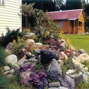 Альпийские горки фото