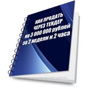 Http://goszakaz-info.ru/vvodniy_kurs/ фото