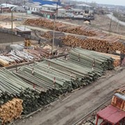 Опоры (столбы) ЛЭП деревянные пропитнные фото
