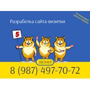 Разработка сайта-визитки фото