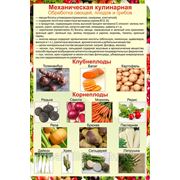 Обработка овощей фото