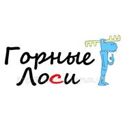 Дизайн полиграфии фото