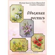 Мастер-Классы по объемной росписи фото