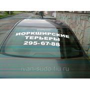 Плоттерная резка фото