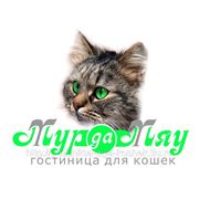 Скидка на проживание 4 кошек одного владельца- 37,5% фото