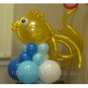Рыбки из воздушных шаров своими руками Рыбки из воздушных шаров