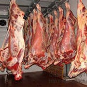 Мясо говяжье полутуши 1 кат. 110+ глубокой заморозки фото