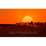 Горящие туры в Египет из Кемерово! 16.05. на 14 дней! ШАРМ-ЭЛЬ-ШЕЙХ! фото