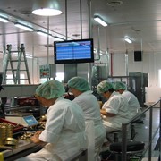 Система оперативного учета выпуска консервной продукции на участке укладки шпрот. фото