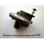 Рем.комплект к РДНК-400 Рем.комплект к РДНК-400