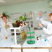 Технологическая инструкция по производству томатов соленых к ГОСТ 7180-73 фото