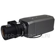 Spezvision SVI-412 - IP-видеокамера фото