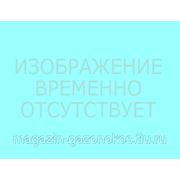 Магнето для бензопил 55/250 фото