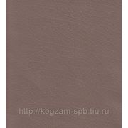 SANCHO CP 3658 искусственная кожа фото