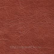 Обивочная ткань — искусственная кожа Fiore (Фиора) фото
