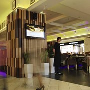Профессиональный проект кафе, ресторана, клуба. фото