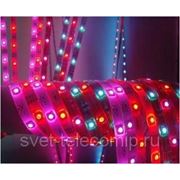 Светодиодная лента LED 518-523 фото