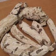 Производство растительных экстрактов (66% экстракта мыльного корня) фото