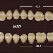 Частичный гарнитур 8шт. Жевательные нижние A3.5 M32 фото