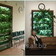 Аппаратно-биологический фитокомплекс ЗЕЛЕНАЯ СТЕНА фото