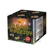 Brave Warriov фото
