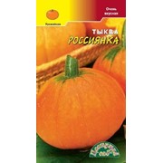 Тыква Россиянка фото