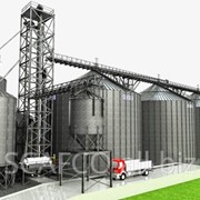 Семенная линия для кукурузы SCAFCO фото
