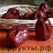 Унаби - китайский финик фото