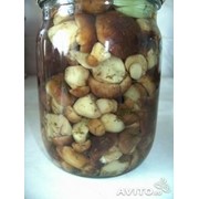 Грибы соленные фото