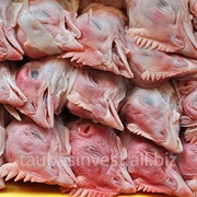 Головы куриные фото
