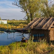 Платная рыбалка фото