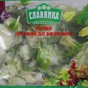 Салат под заказ, салат Айсберг, салат Радичио, салат Ромен, салат Фризе, салат Премиум, салат Неаполитанский, салат Греческий фото
