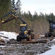 Строительство дорог фото