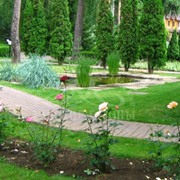 Ландшафтный дизайн фото